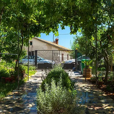 Olga Διαμέρισμα *